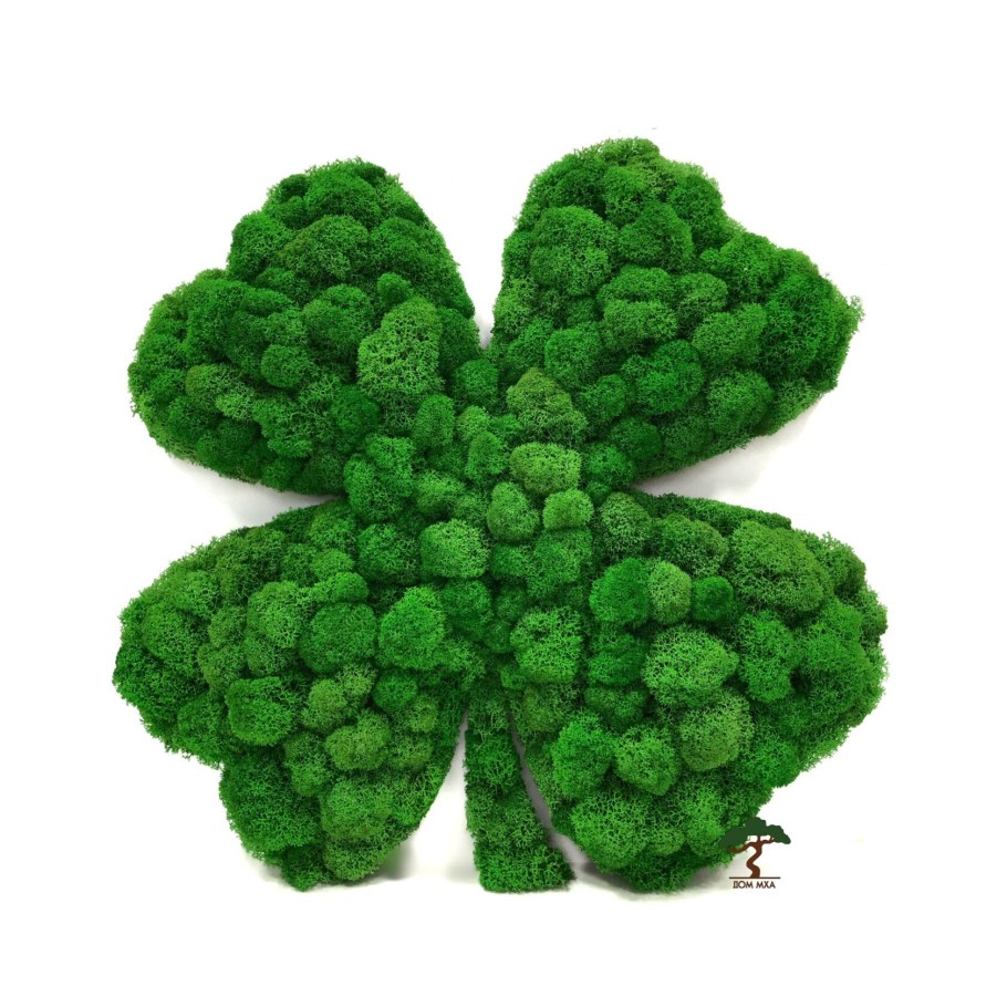 Клевер из мха