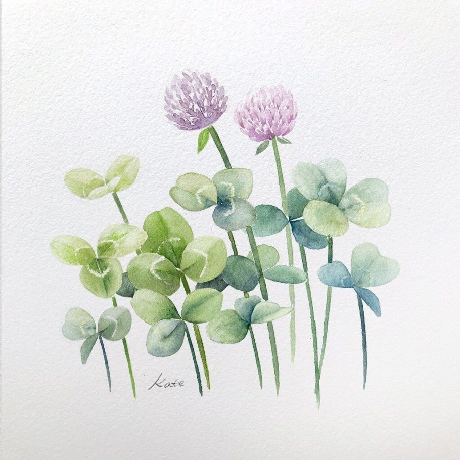 Клевер референс