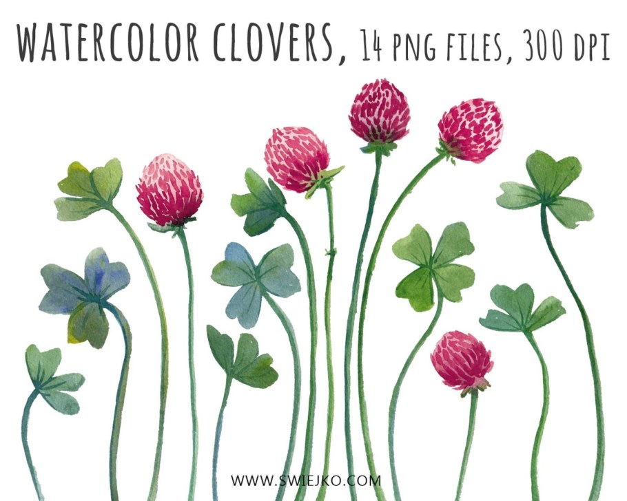 Векторное изображение клевера