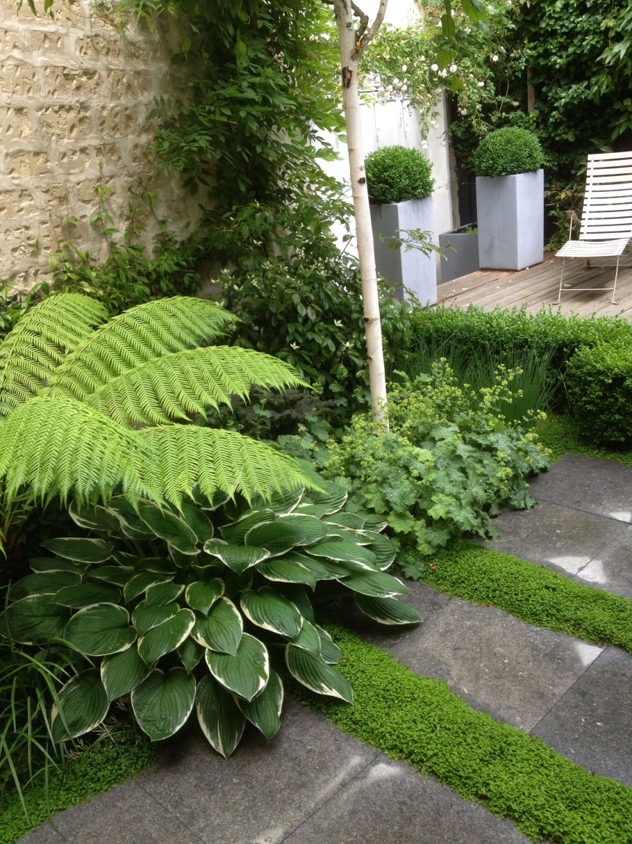 Тенистые сады ландшафт