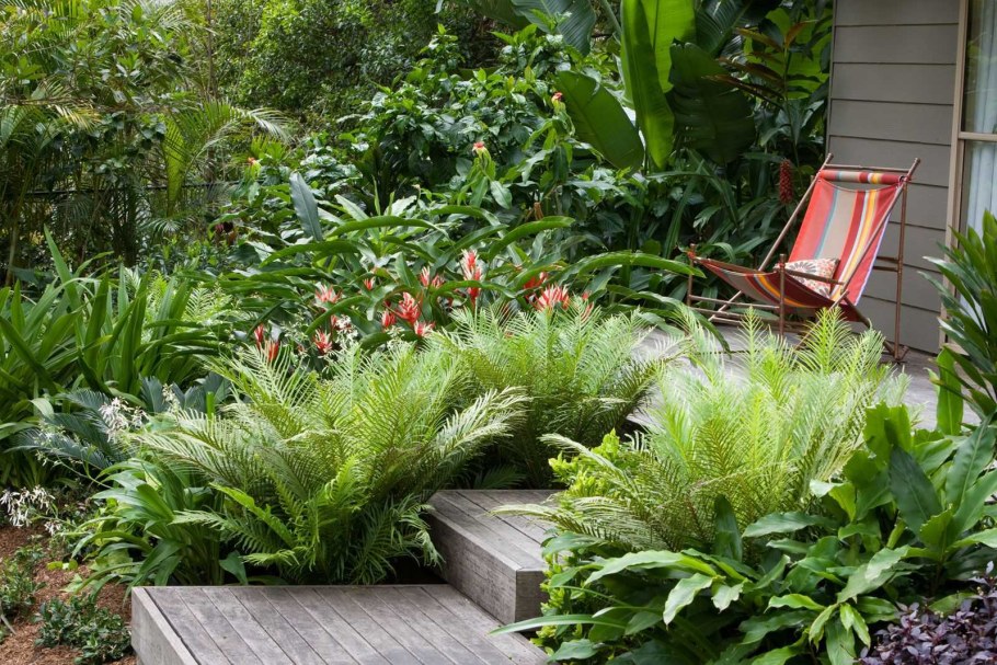 Папоротник и Хоста