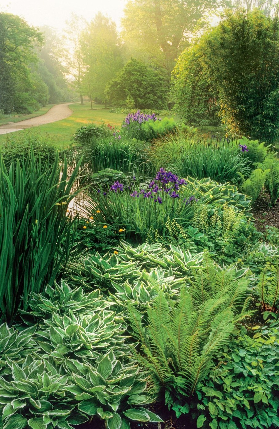 Хосты с папоротниками клумба