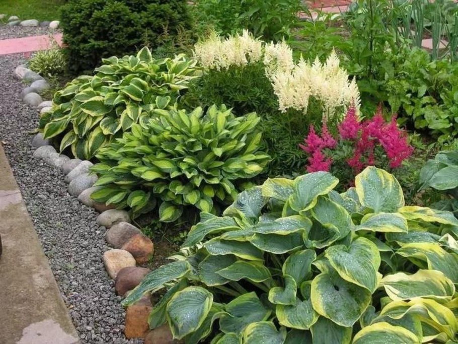 Клумба Хоста и астильба
