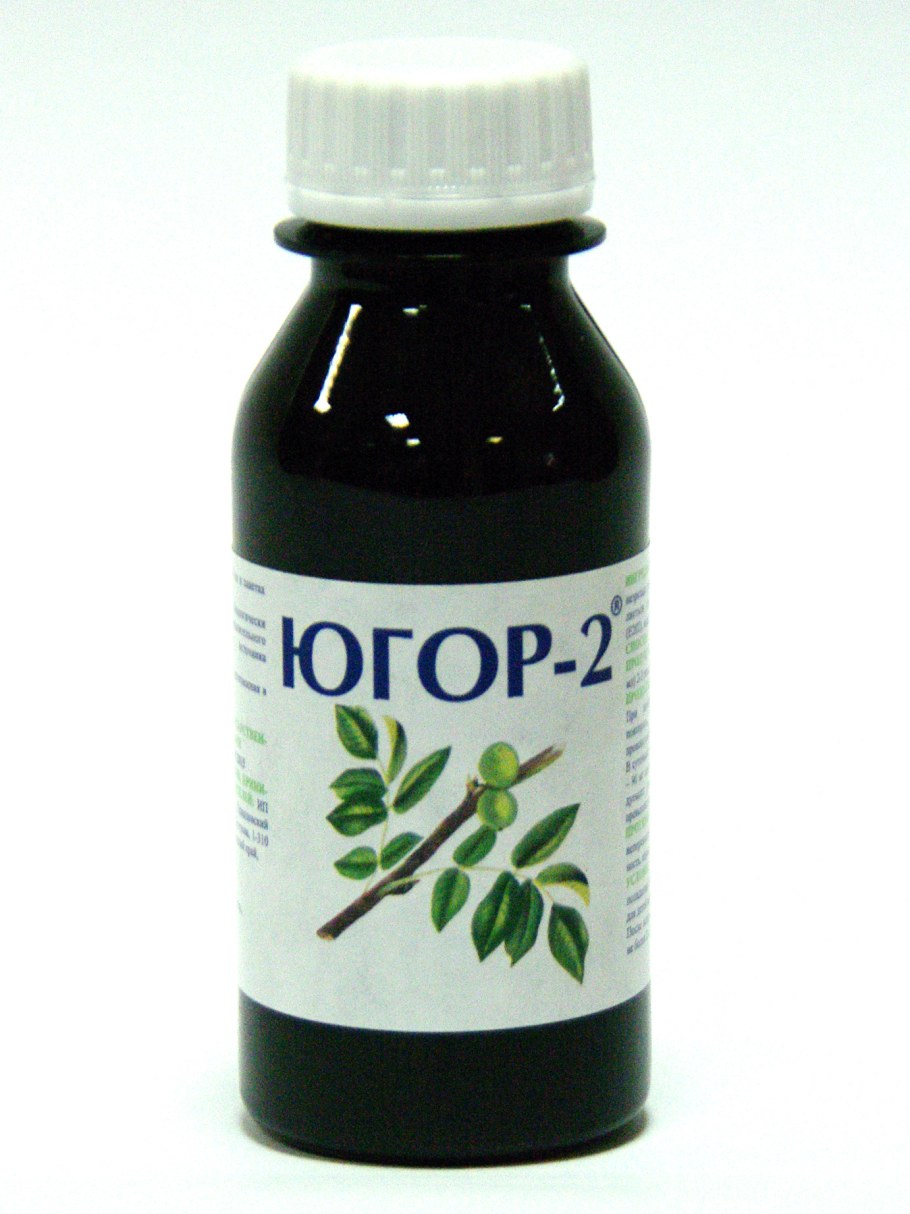 Чёрный орех от паразитов