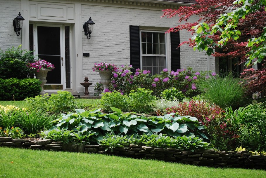 Тенистый хвойный палисадник