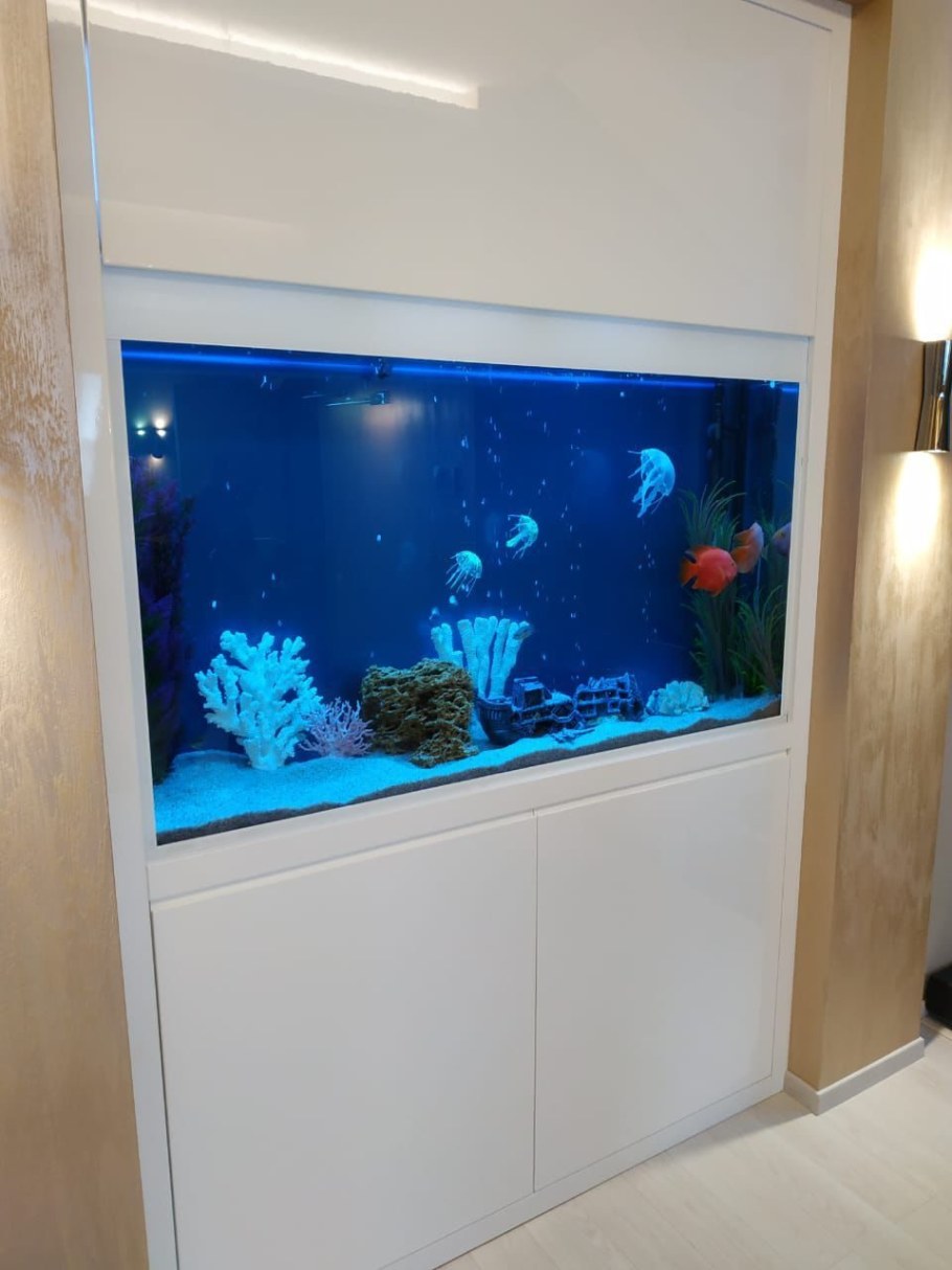 Аквариум на 500 литров псевдоморе