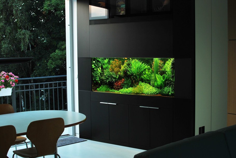 Встроенный аквариум в интерьере