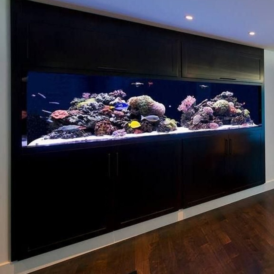 Встроенный морской аквариум