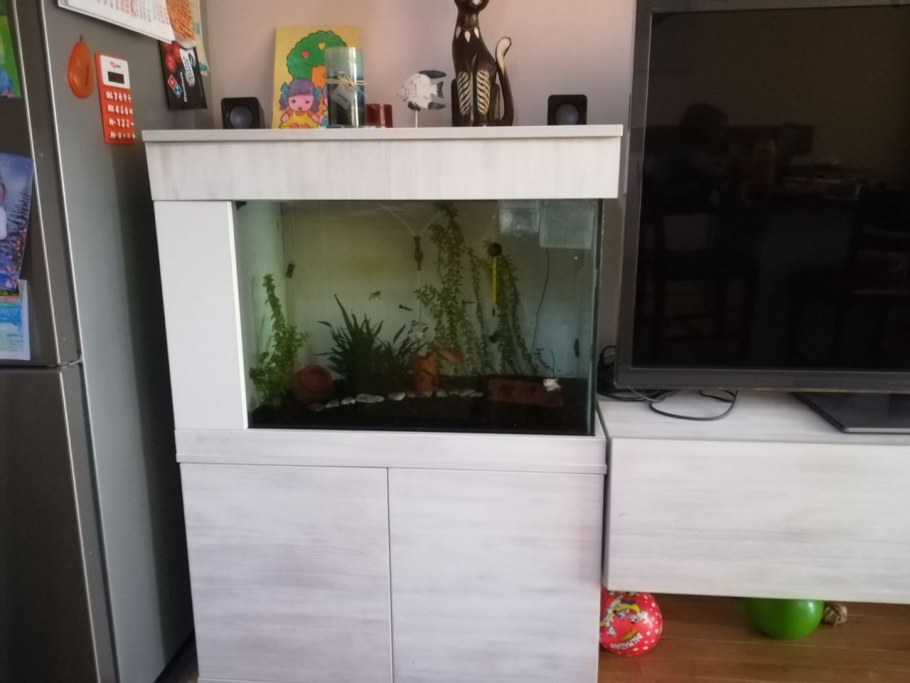 Шкаф со встроенным аквариумом