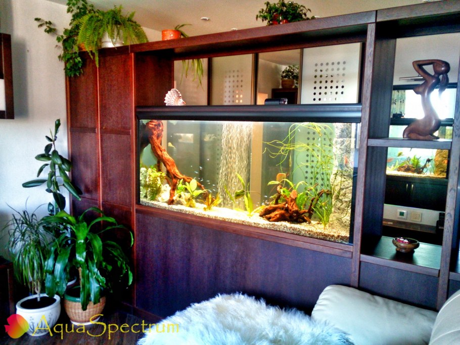 Аквариум перегородка в интерьере