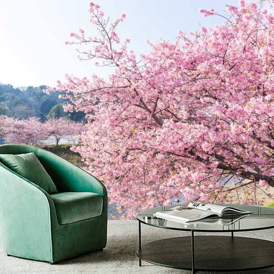 Сакура д5 МР