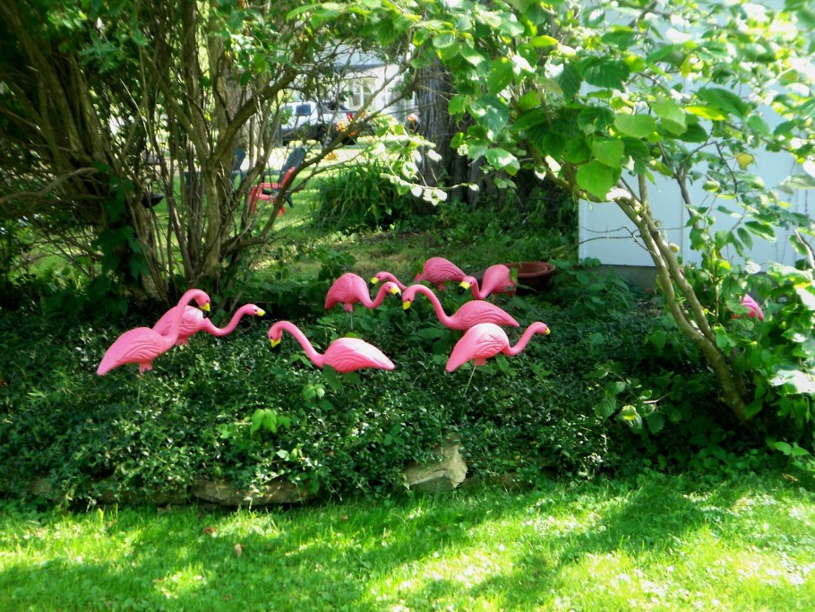 Розовый Фламинго в саду декор
