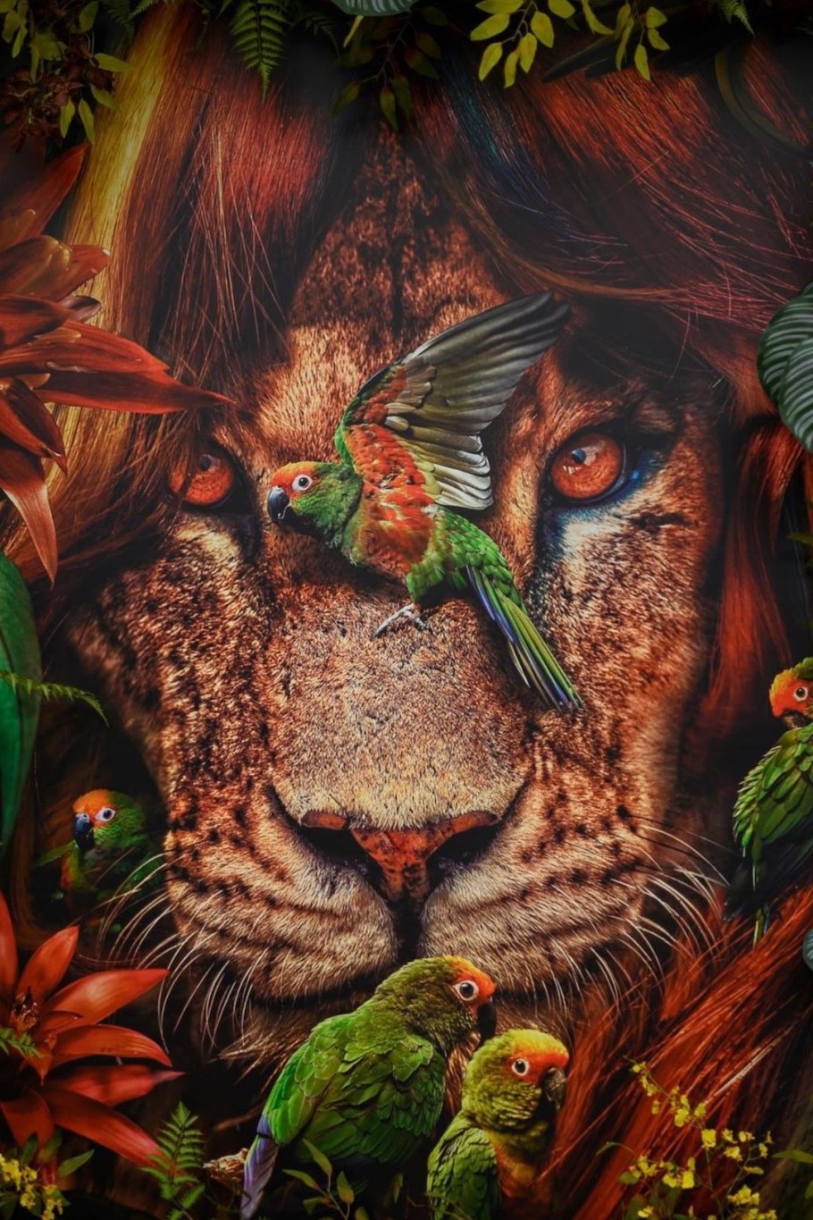 Фотограф Марсель Ван Льюит