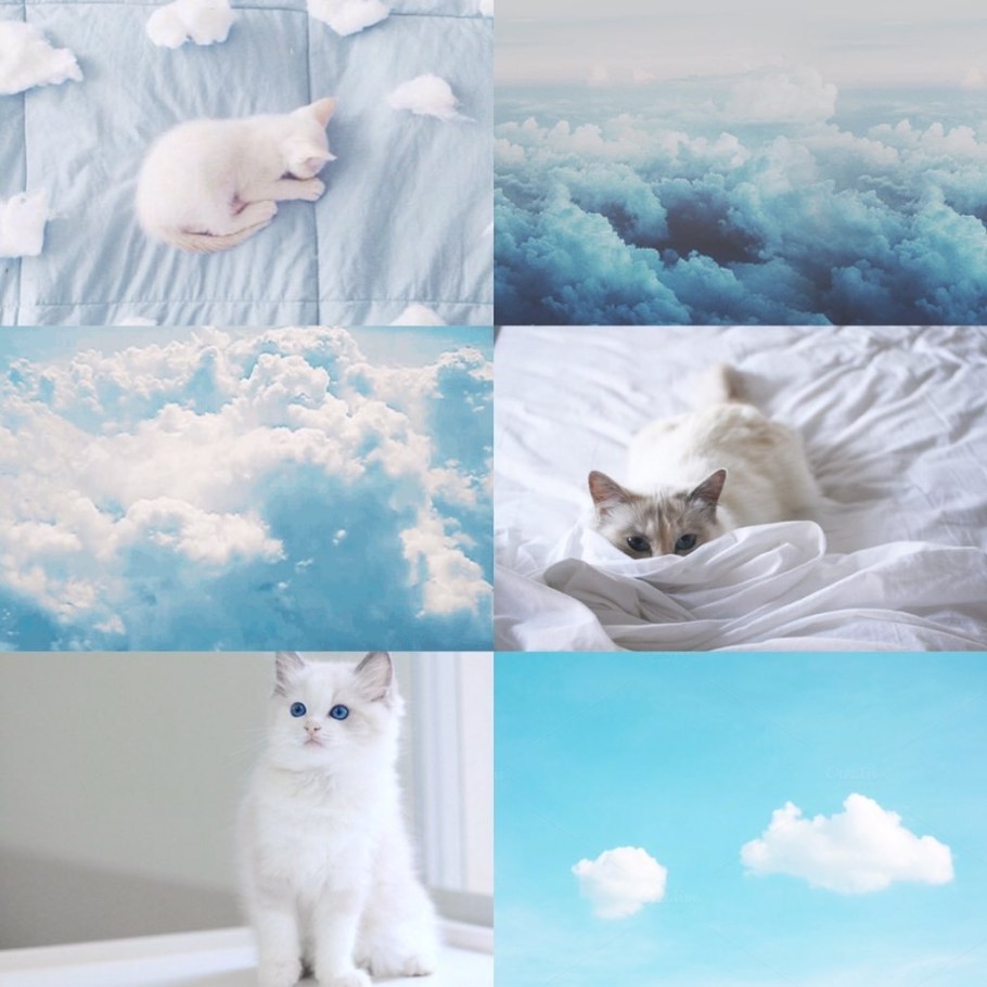 Коты Эстетика