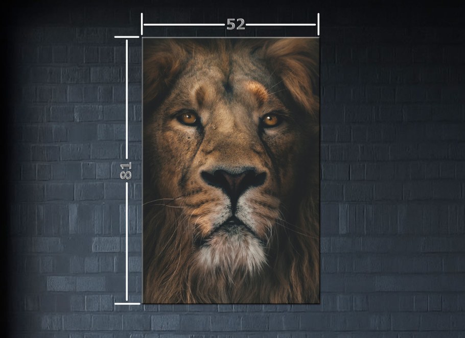 Морда Льва на черном фоне