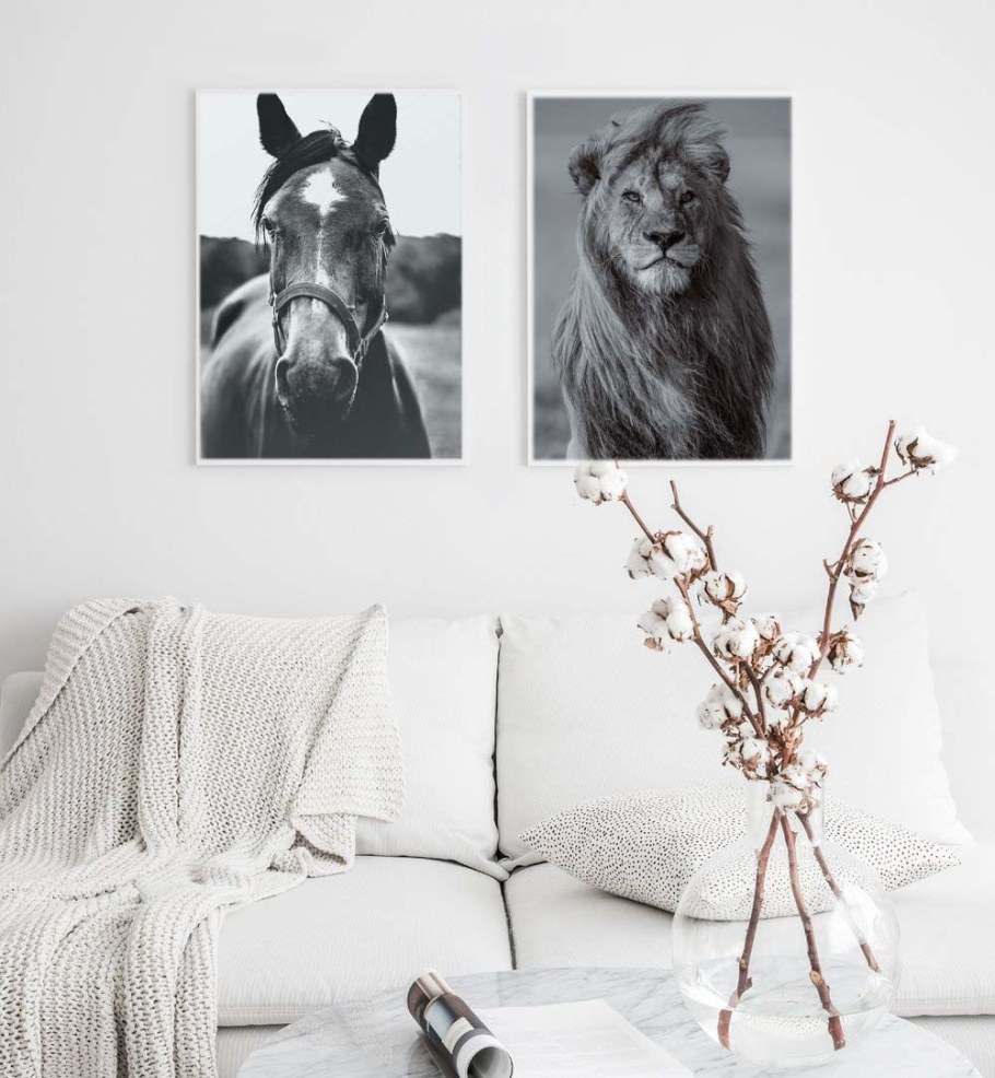 Идеи для постеров с собаками своими руками