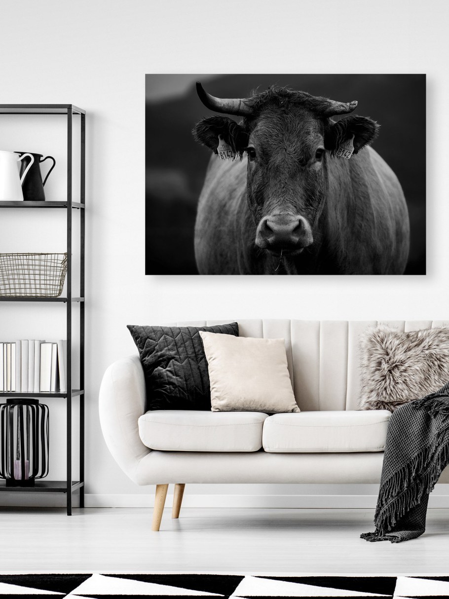 Картины животных в интерьере