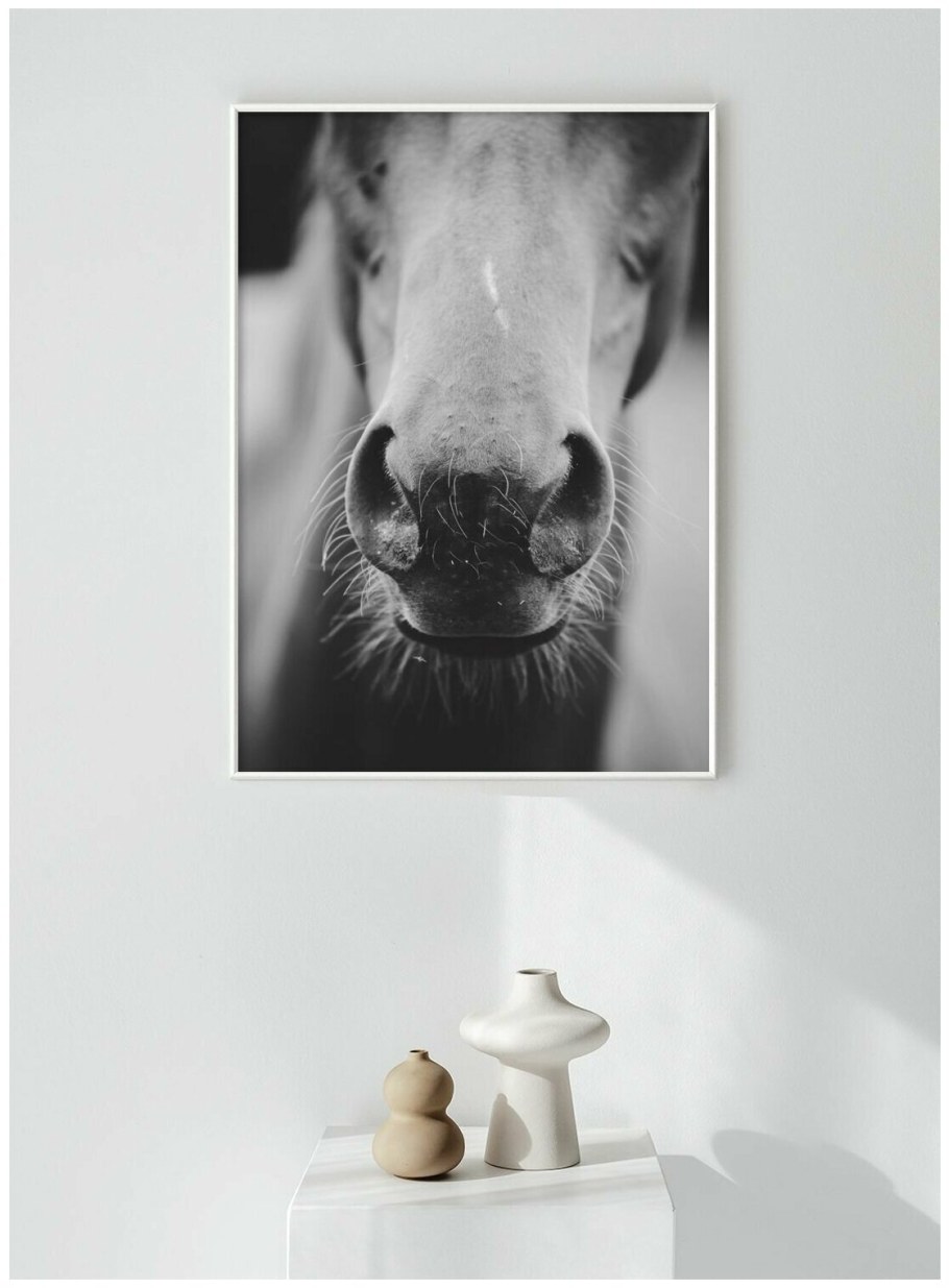 Красивые постеры животных