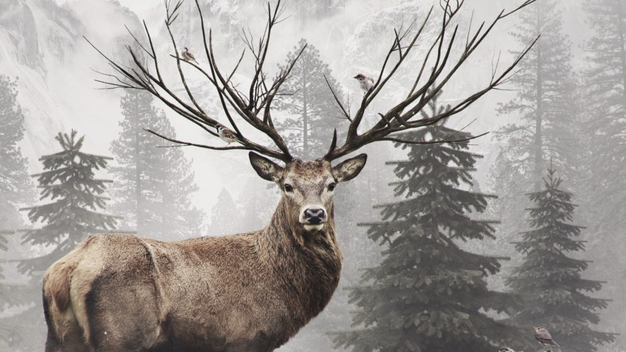 Олень в зимнем лесу