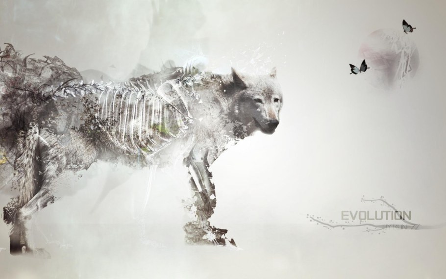 Волк Минимализм