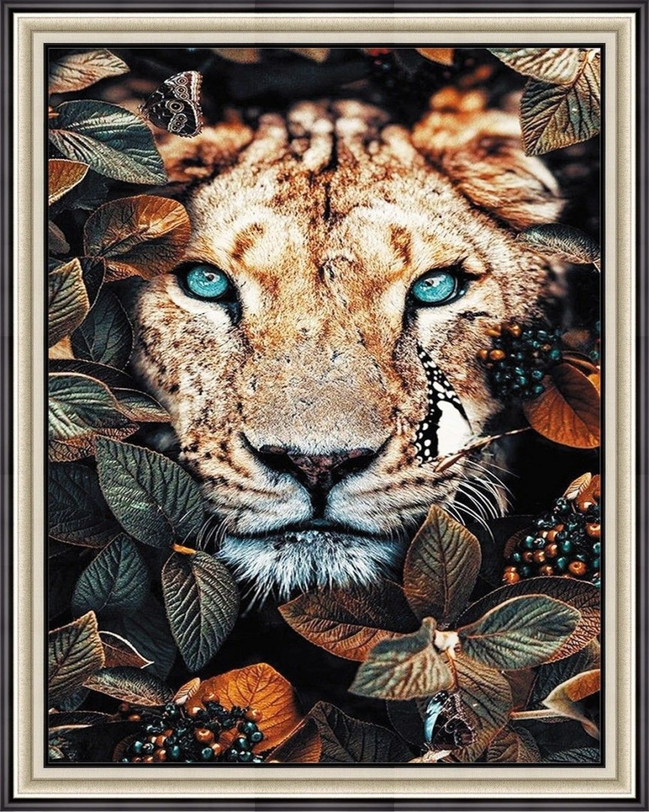 Животное Эстетика