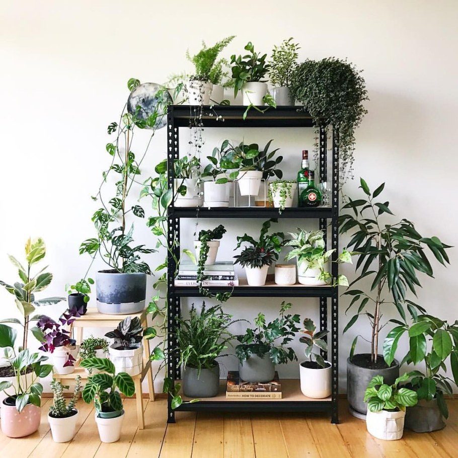 Стеллаж для цветов