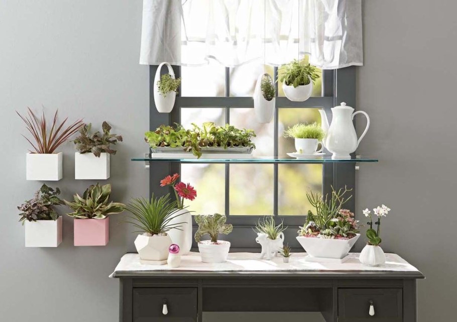 Цветочные горшки в интерьере