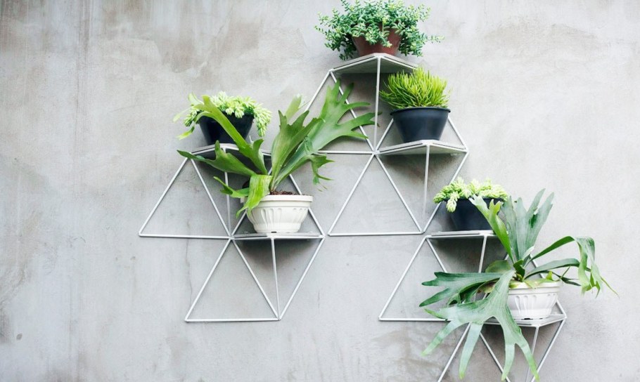 Цветы на стене в горшках