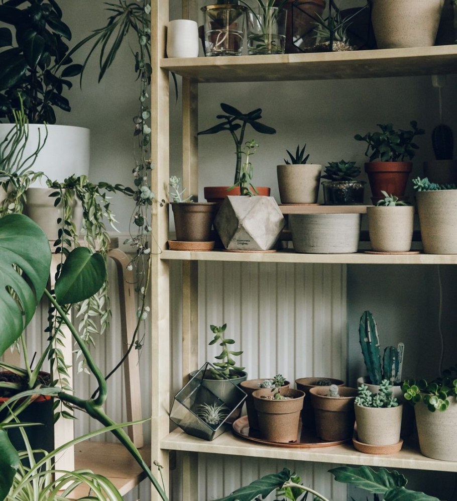 Стеллаж для растений