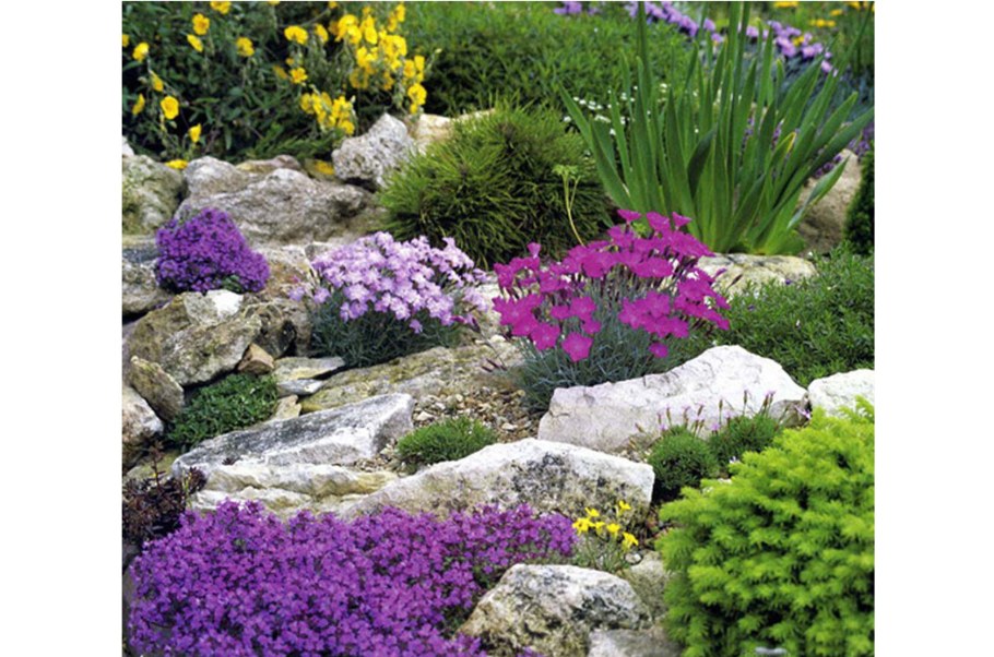 Обриета на альпийской Горке