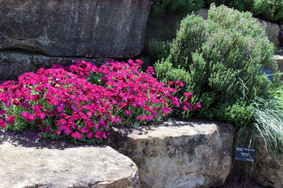 Обриета чарующий Марокко