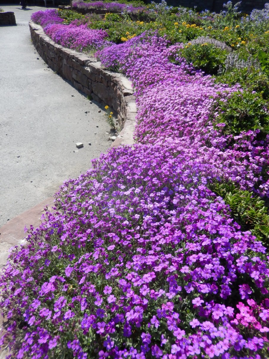 Обриета Лихтилини