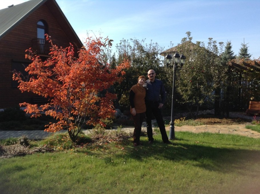 Ирга Ламарка изгородь