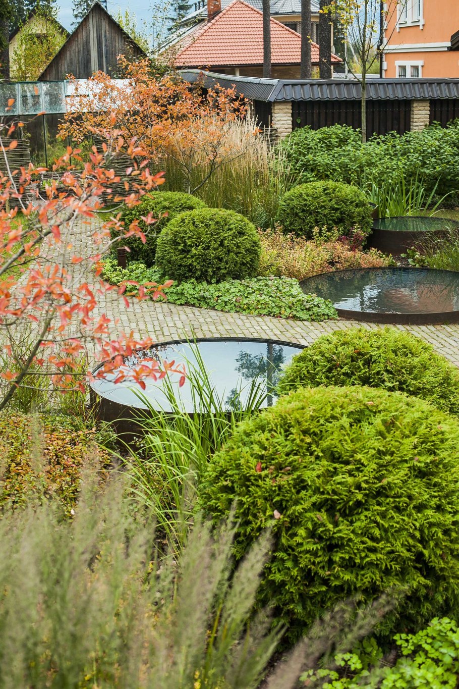 Ирга Ламарка в ландшафте