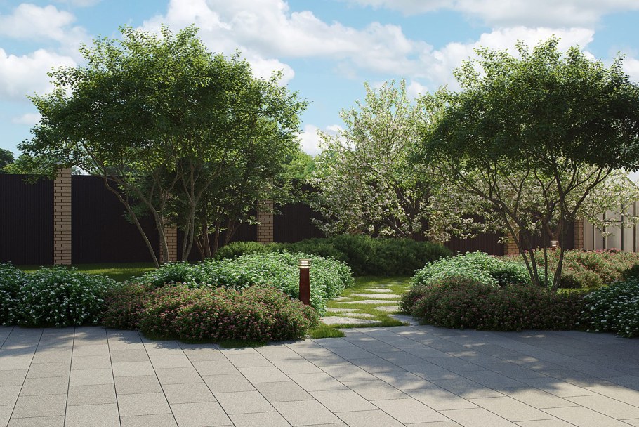 Ирга Ламарка в ландшафте сада