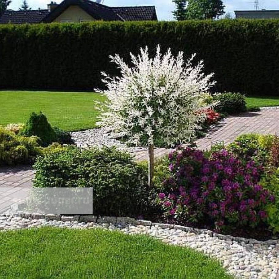 Ива Хакуро нишики