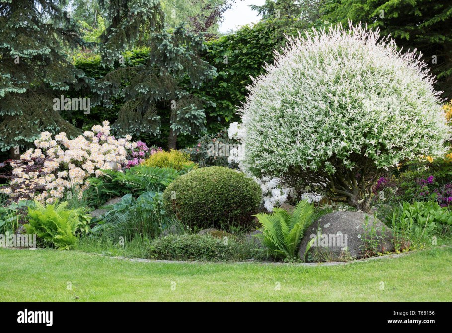 Ива Хакуро нишики