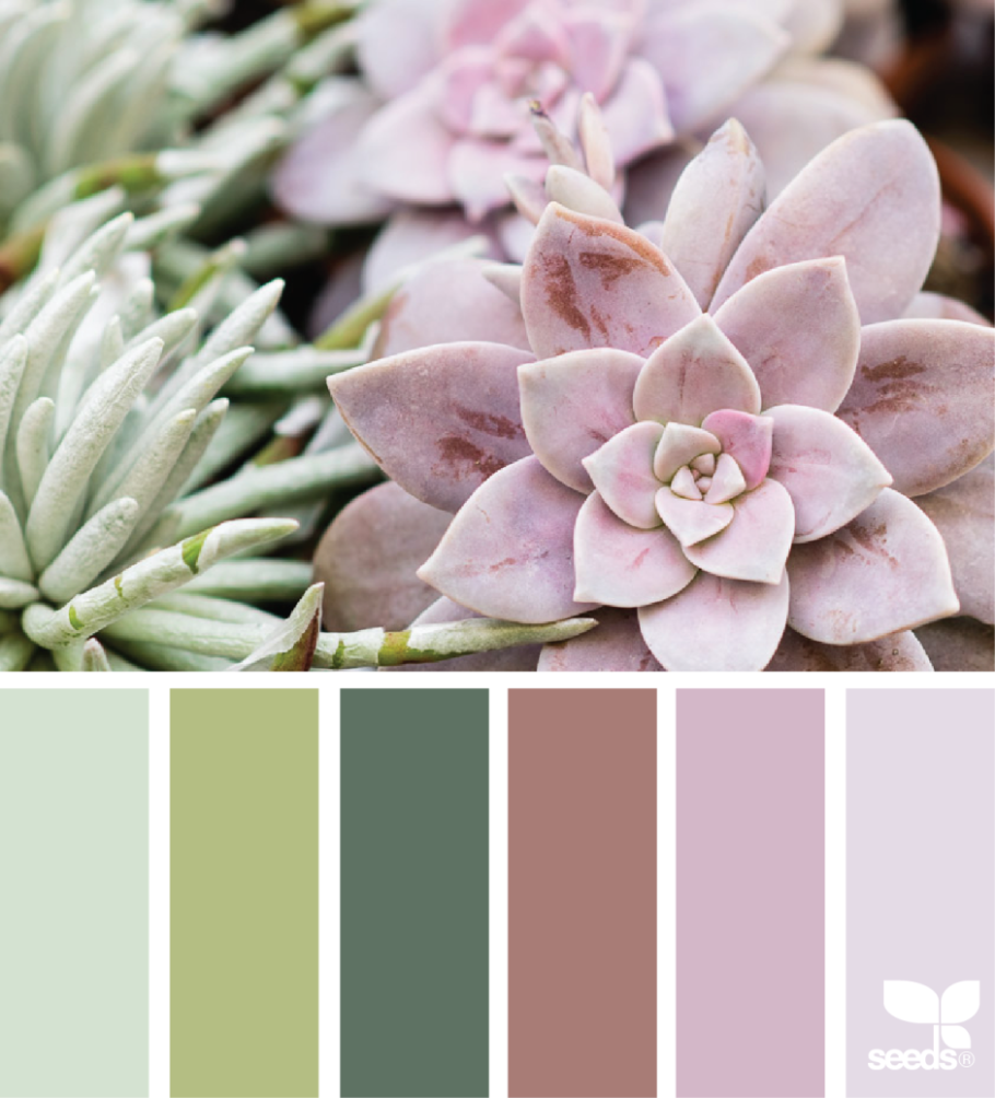 Цветовая палитра пантон шалфей