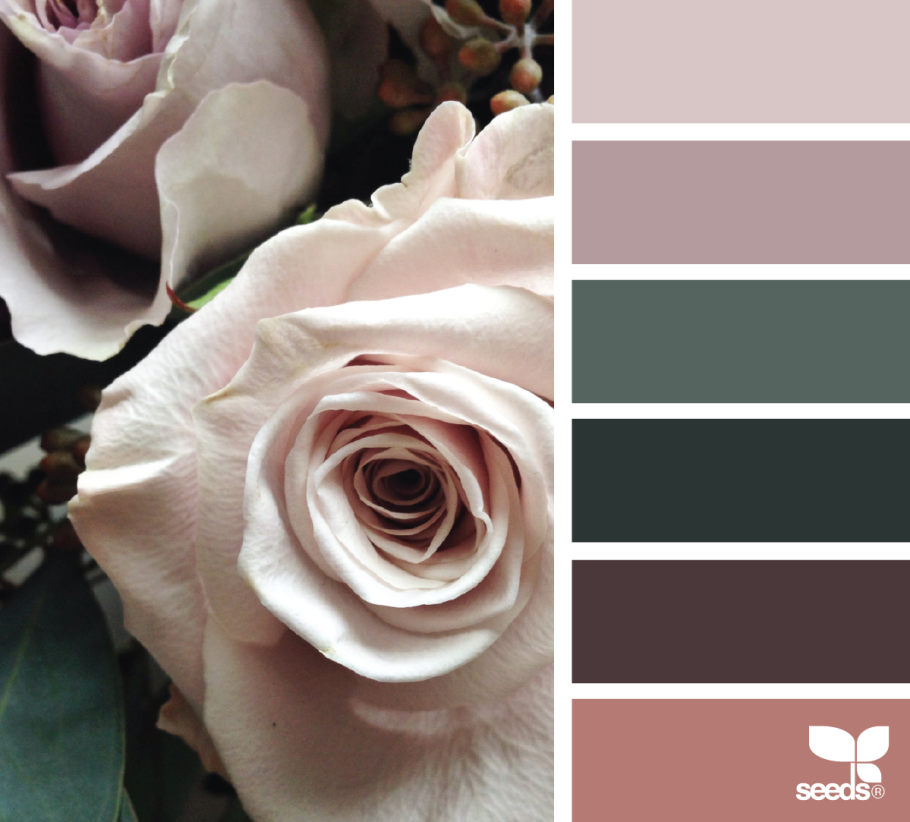 Палитра цветов нюдовых оттенков