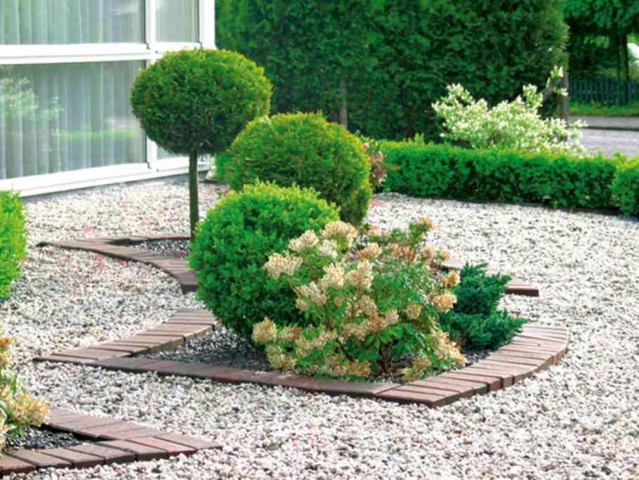 Туи Даника на мраморной крошке