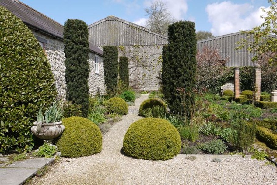 Кизильник ниваки