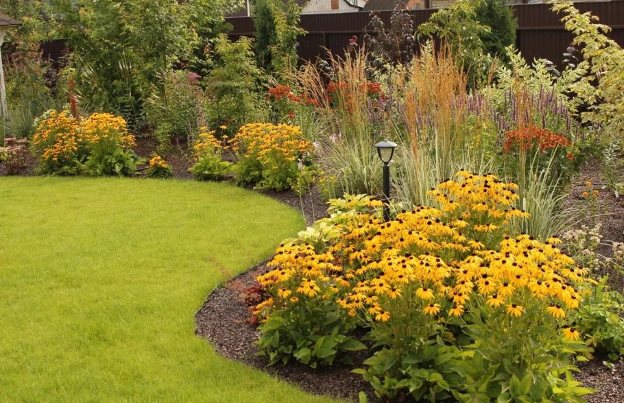 Миксбордер рудбекия Флокс эхинацея