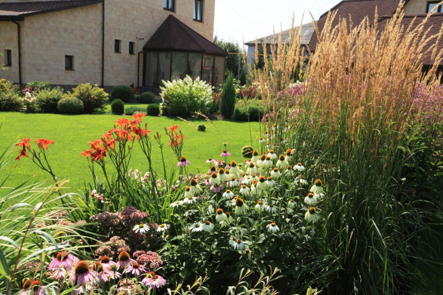 Вейник с лилейниками