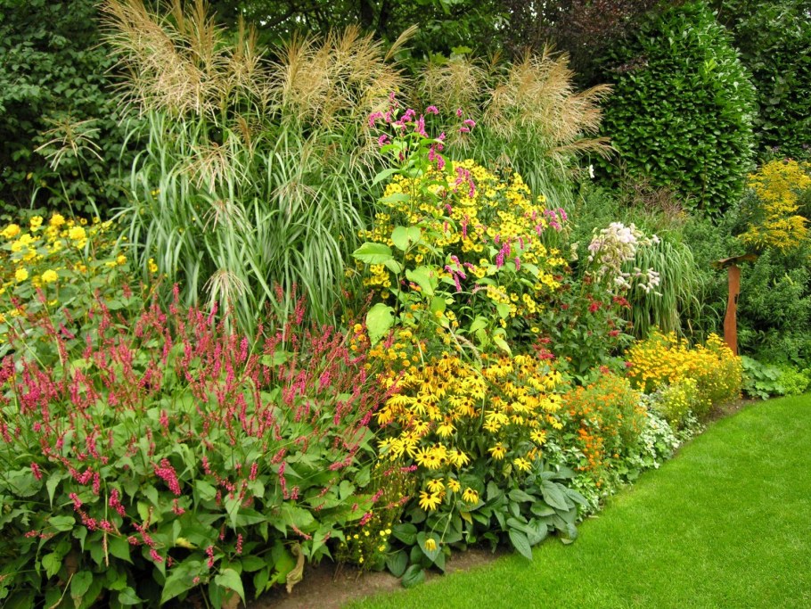 Койсман миксбордер