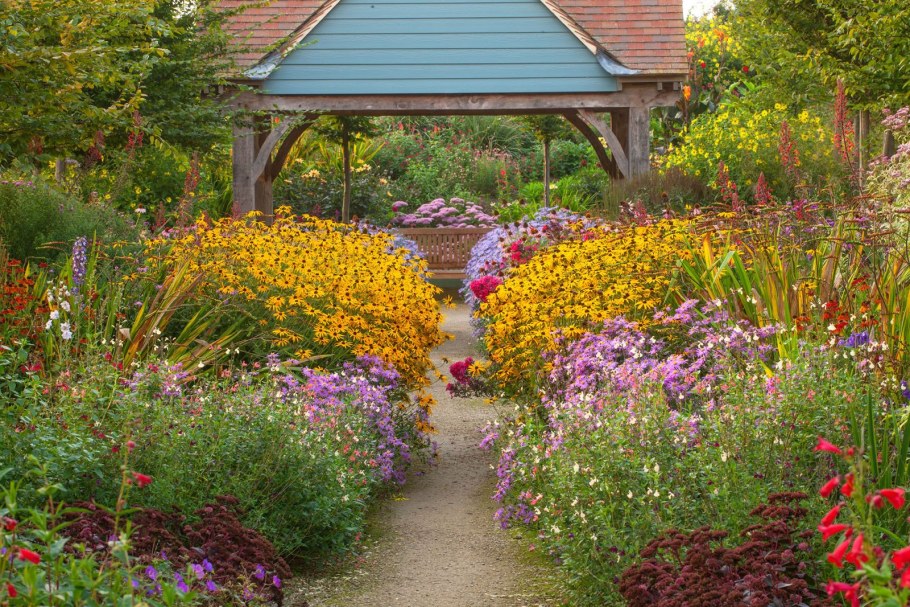 Рудбекия в ландшафте