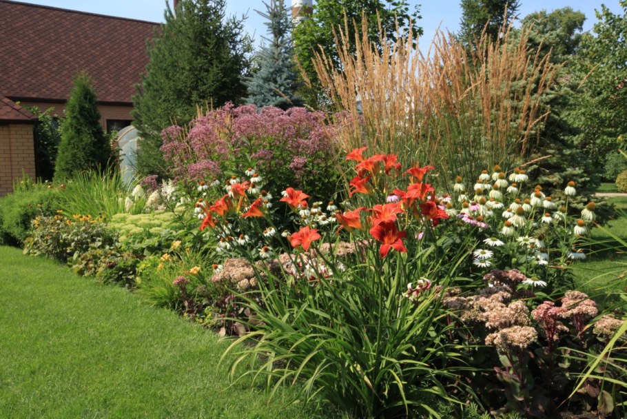 Гелениум и Вейник