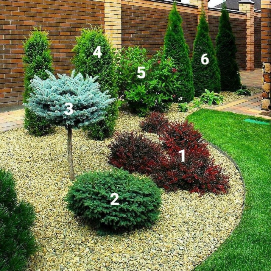 Туя Западная Глаука Глобоза