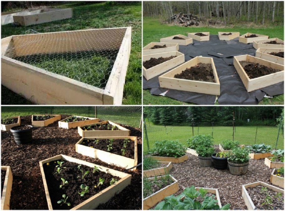 Красивые высокие грядки