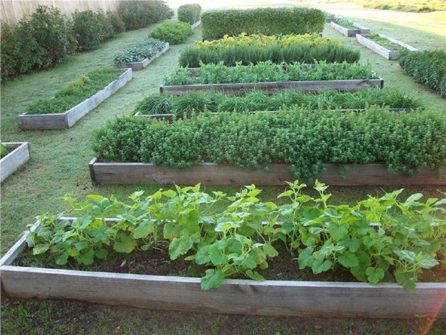 Красивые грядки