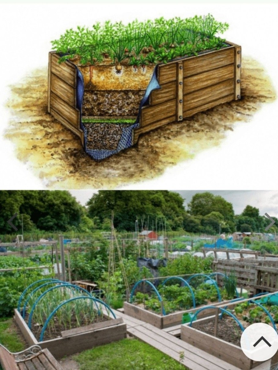 Красивые высокие грядки